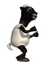 29455215