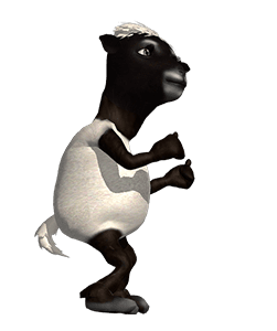 ลายที่ 8