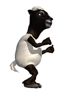 Crazy Sheep Animated รูปที่ 8
