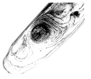 294560153
