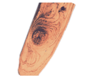 294560154