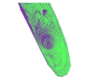 294560155