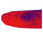 294560156