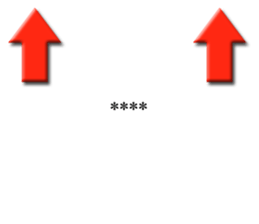 294594074