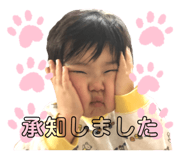 294649529