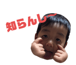 294655019