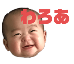 294655026