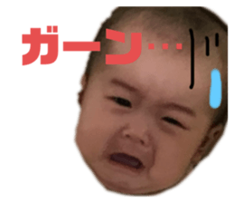 294655031