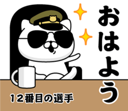 294693806