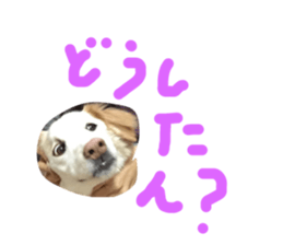 294762232