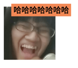 294831363