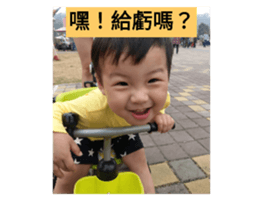 294856440