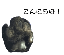 294859494
