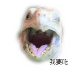294865126