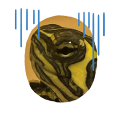 294865131