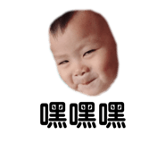 294874814