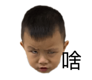 294874816