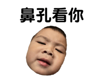 294874820