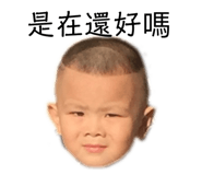 294874822