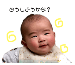 294887244