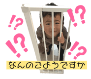 294898711