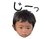 294898715