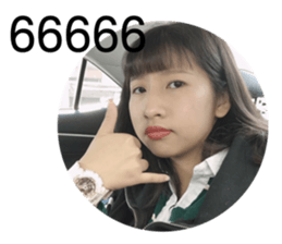 295017781