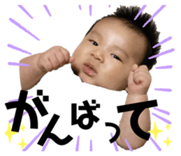 295025611