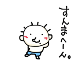29503050