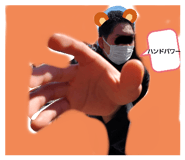 295033583
