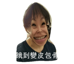 295050730