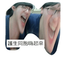 295050739