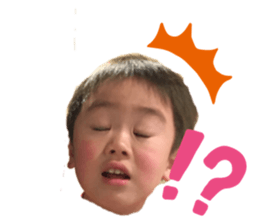 295053191