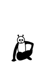 29506918