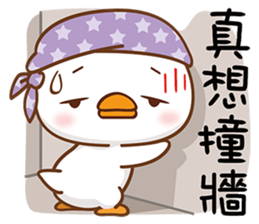 295081373