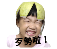 295163464