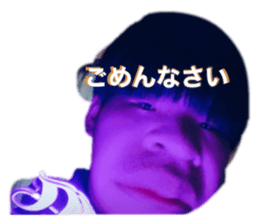 295267687