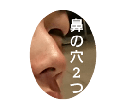 295274105