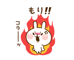 29530059