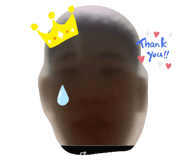 295338155
