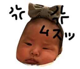 29538857
