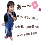 295394502