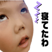 295394503