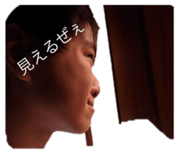 295410195