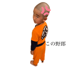 295422209