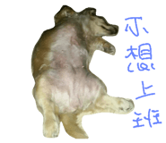29542788