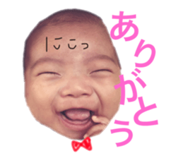 29546768
