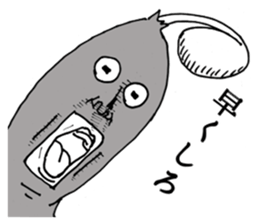 2954681