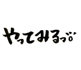 29548454