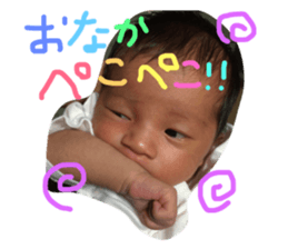29549102